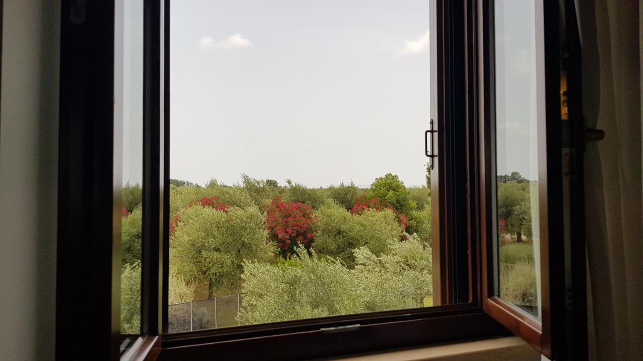Il Casale Degli Ulivi - Agriturismo - Tenimenti Leone Lanuvio Exterior foto