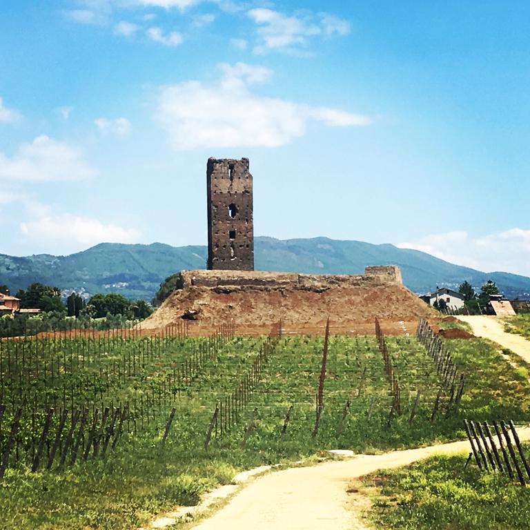 Il Casale Degli Ulivi - Agriturismo - Tenimenti Leone Lanuvio Exterior foto